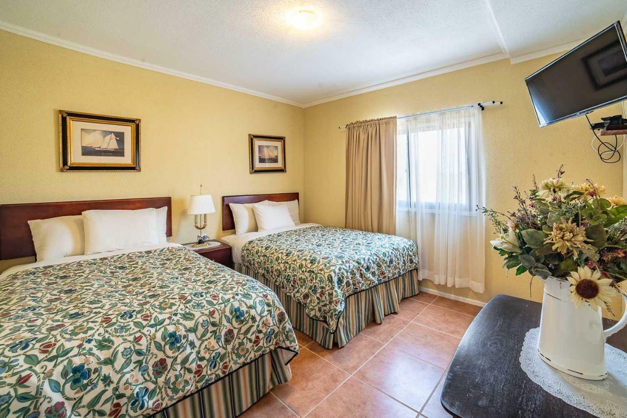 לה סרנה Aparthotel Serena Dream מראה חיצוני תמונה